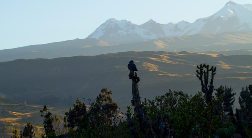 Eco Inn Colca Yanque ภายนอก รูปภาพ
