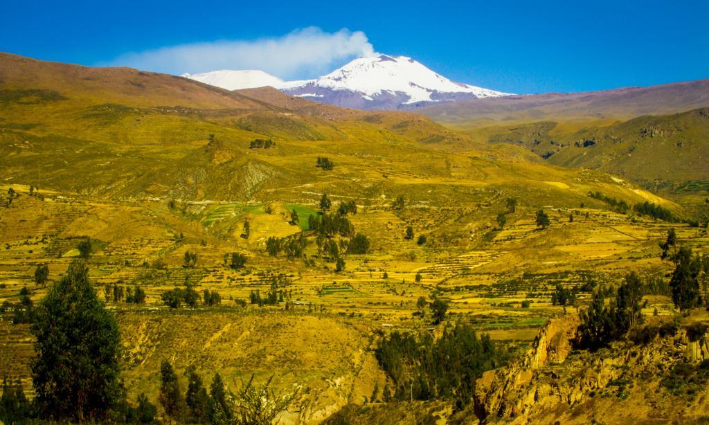 Eco Inn Colca Yanque ภายนอก รูปภาพ