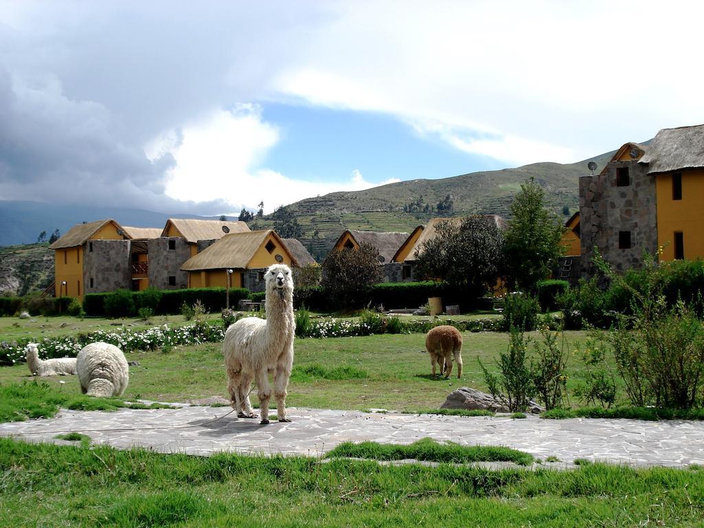 Eco Inn Colca Yanque ภายนอก รูปภาพ